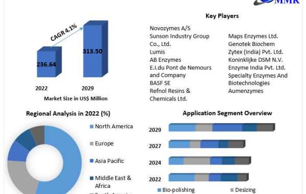 "Global Enzyme Market Outlook 2030: Catalyzing Growth and Innovations"