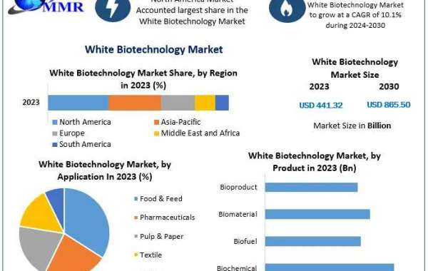 White Biotechnology Market Mastery: Size, Share, Revenue, and Worth Statistics Overview | 2024-2030