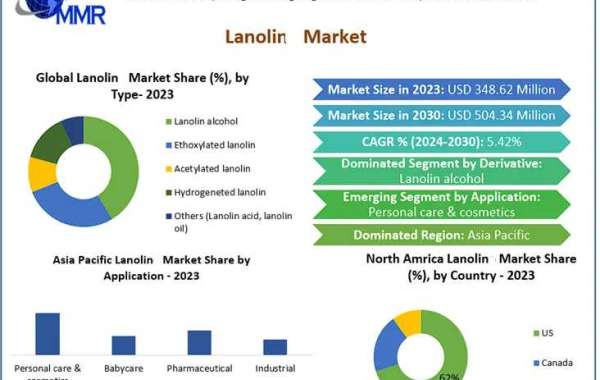 Lanolin Market Metrics Matrix: Segmentation, Outlook, and Overview in Market Dynamics | 2024-2030