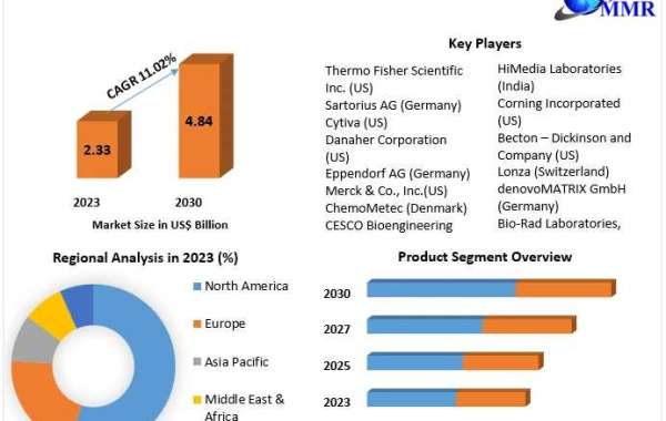 Microcarrier Market Size, Share, Revenue, and Worth Statistics | 2024-2030