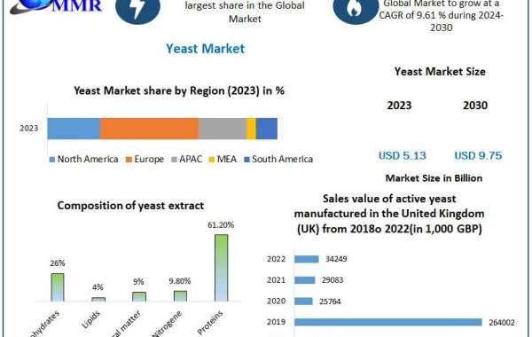 Yeast Market Size, Share, Revenue, and Worth Statistics | 2024-2030