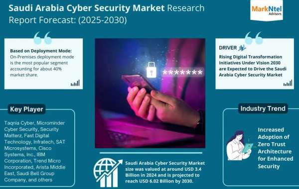 Saudi Arabia Cyber Security Market Size, Share & CAGR by 2030