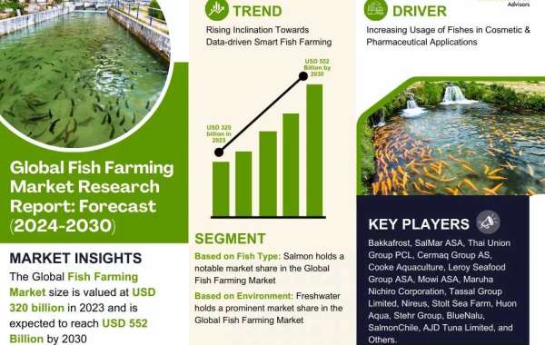 Fish Farming Market Dynamics – Driver, Challenge, Segment & Competition FY2030