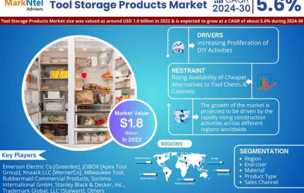 Tool Storage Products Market Size, Share, Trends, Demand, Growth and Competitive Analysis 2030