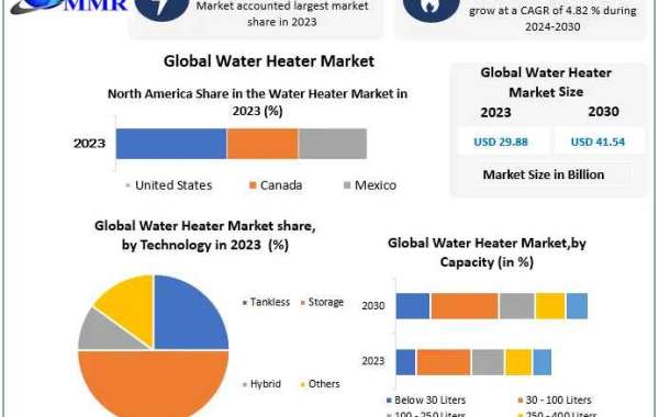 Water Heater Market Share, Size and Overview | 2024-2030