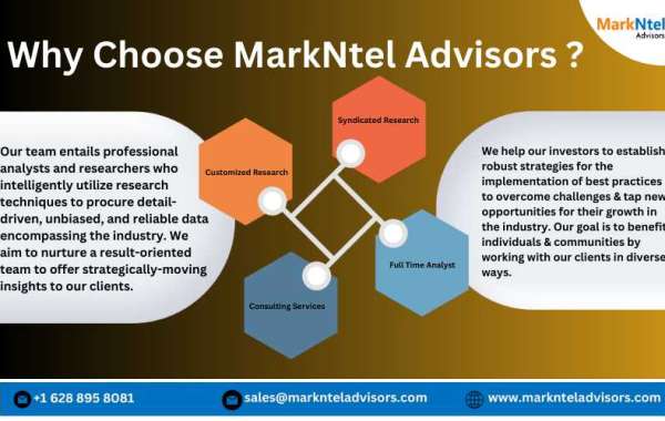 Chad New Commercial Vehicle Market Dynamics: Comprehensive Report on Growth and Segmentation for 2030