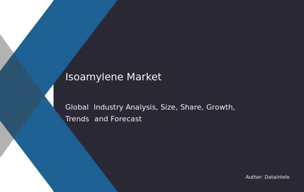 Investment Opportunities in Isoamylene Market: Trends & Growth Potential