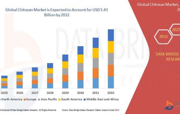 Comprehensive Study of the Chitosan Market: Trends, Forecast, and Industry Share