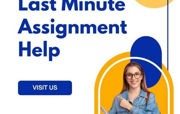 Top Benefits of Choosing Professional Last Minute Assignment Help Services