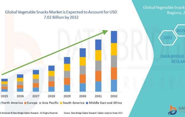 Vegetable Snacks Market Size, Share, Key Growth Drivers, Trends, Challenges and Competitive Landscape