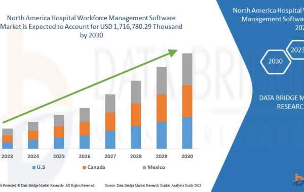 North America Hospital Workforce Management Software Market Scope, Segmentation, and Key Insights 2025–2032