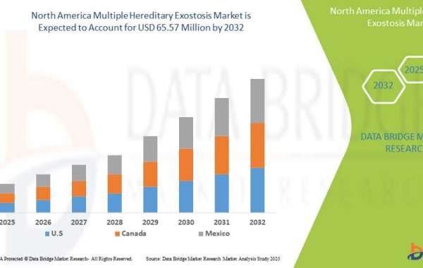 North America Multiple Hereditary Exostosis Market Scope, Segmentation, and Key Insights 2025–2032